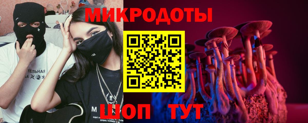 Волгоград  Галлюциногенные грибы Psilocybe  Вход с VPN 