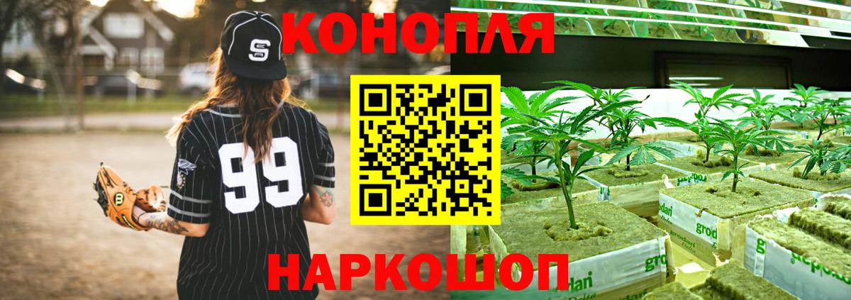 Шишки марихуана Amnesia Волгоград